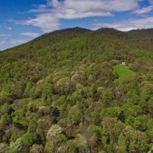 Photo #3 of 1276 Mountain Trail Rd, Thaxton, VA 35.6 acres