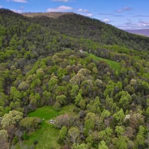 Photo #7 of 1276 Mountain Trail Rd, Thaxton, VA 35.6 acres