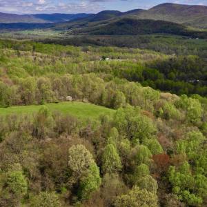 Photo #9 of 1276 Mountain Trail Rd, Thaxton, VA 35.6 acres