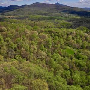 Photo #10 of 1276 Mountain Trail Rd, Thaxton, VA 35.6 acres