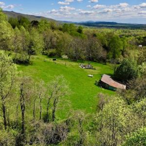 Photo #11 of 1276 Mountain Trail Rd, Thaxton, VA 35.6 acres