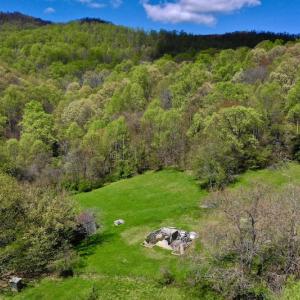 Photo #12 of 1276 Mountain Trail Rd, Thaxton, VA 35.6 acres