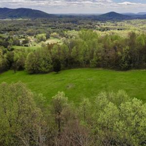 Photo #15 of 1276 Mountain Trail Rd, Thaxton, VA 35.6 acres
