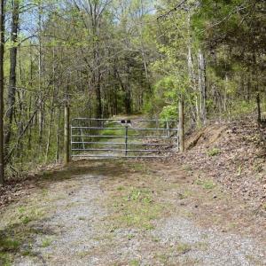 Photo #18 of 1276 Mountain Trail Rd, Thaxton, VA 35.6 acres