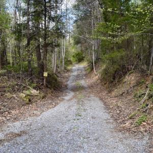Photo #19 of 1276 Mountain Trail Rd, Thaxton, VA 35.6 acres
