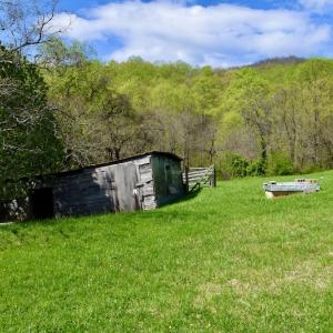 Photo #23 of 1276 Mountain Trail Rd, Thaxton, VA 35.6 acres