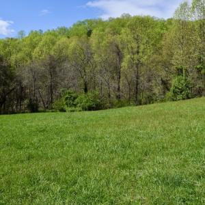 Photo #26 of 1276 Mountain Trail Rd, Thaxton, VA 35.6 acres