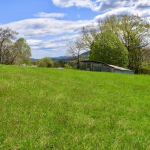 Photo #28 of 1276 Mountain Trail Rd, Thaxton, VA 35.6 acres