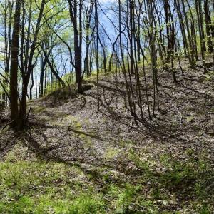 Photo #31 of 1276 Mountain Trail Rd, Thaxton, VA 35.6 acres