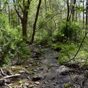 Photo #32 of 1276 Mountain Trail Rd, Thaxton, VA 35.6 acres