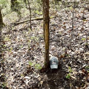 Photo #37 of 1276 Mountain Trail Rd, Thaxton, VA 35.6 acres