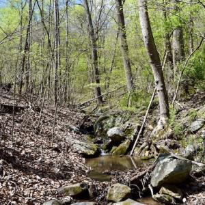Photo #40 of 1276 Mountain Trail Rd, Thaxton, VA 35.6 acres