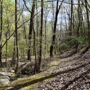 Photo #41 of 1276 Mountain Trail Rd, Thaxton, VA 35.6 acres