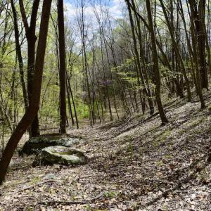 Photo #42 of 1276 Mountain Trail Rd, Thaxton, VA 35.6 acres