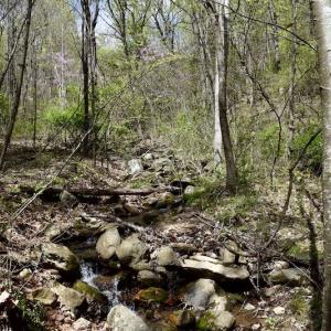 Photo #43 of 1276 Mountain Trail Rd, Thaxton, VA 35.6 acres