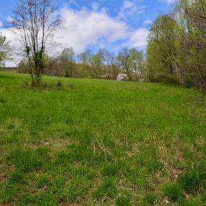 Photo #44 of 1276 Mountain Trail Rd, Thaxton, VA 35.6 acres