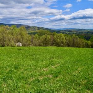 Photo #45 of 1276 Mountain Trail Rd, Thaxton, VA 35.6 acres