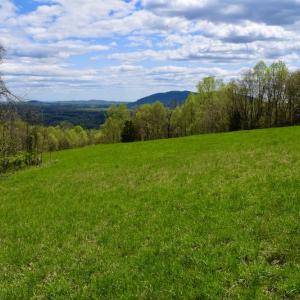 Photo #46 of 1276 Mountain Trail Rd, Thaxton, VA 35.6 acres