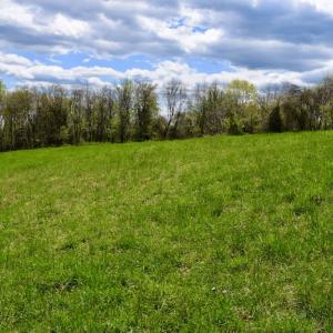 Photo #47 of 1276 Mountain Trail Rd, Thaxton, VA 35.6 acres