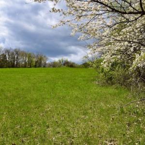 Photo #48 of 1276 Mountain Trail Rd, Thaxton, VA 35.6 acres