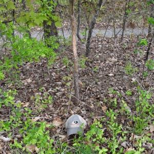 Photo #49 of 1276 Mountain Trail Rd, Thaxton, VA 35.6 acres
