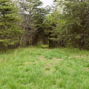 Photo #50 of 1276 Mountain Trail Rd, Thaxton, VA 35.6 acres