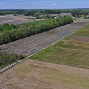 Photo #10 of SOLD property in 441 Ballahack Road , Chesapeake, VA 22.8 acres