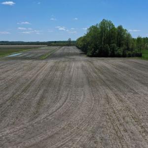 Photo #23 of SOLD property in 441 Ballahack Road , Chesapeake, VA 22.8 acres