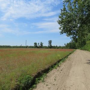 Photo #3 of SOLD property in Boyd Road, Fairmont, NC 3.4 acres