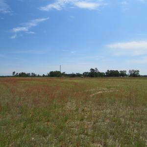 Photo #4 of SOLD property in Boyd Road, Fairmont, NC 3.4 acres