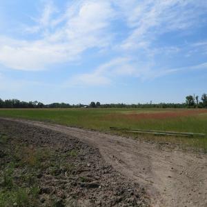 Photo #6 of SOLD property in Boyd Road, Fairmont, NC 3.4 acres