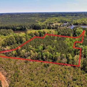 Photo #13 of SOLD property in off Country Lane, Gasburg, VA 7.0 acres