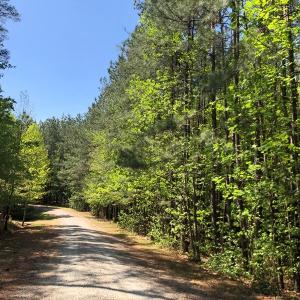 Photo #15 of SOLD property in off Country Lane, Gasburg, VA 7.0 acres
