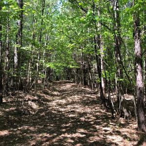 Photo #16 of SOLD property in off Country Lane, Gasburg, VA 7.0 acres