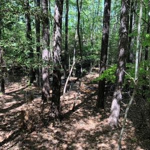 Photo #17 of SOLD property in off Country Lane, Gasburg, VA 7.0 acres