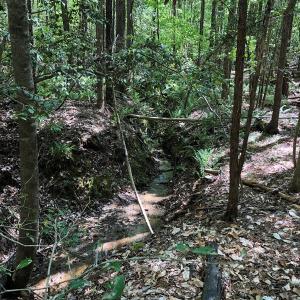 Photo #22 of SOLD property in off Country Lane, Gasburg, VA 7.0 acres