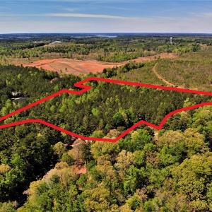 Photo #7 of SOLD property in off Country Lane, Gasburg, VA 7.0 acres