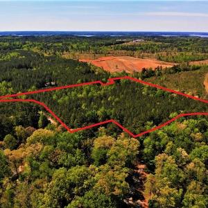 Photo #8 of SOLD property in off Country Lane, Gasburg, VA 7.0 acres