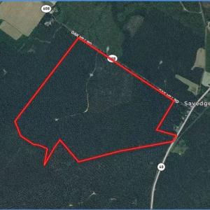 Photo #1 of SOLD property in off Oak Hill Rd and Rt. 40, Waverly, VA 234.0 acres
