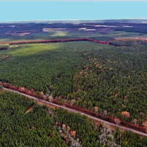Photo #9 of SOLD property in off Oak Hill Rd and Rt. 40, Waverly, VA 234.0 acres