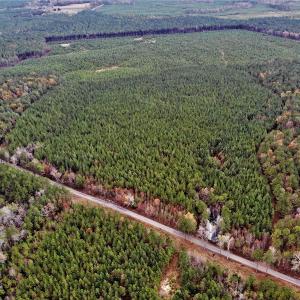 Photo #10 of SOLD property in off Oak Hill Rd and Rt. 40, Waverly, VA 234.0 acres