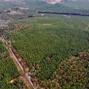 Photo #11 of SOLD property in off Oak Hill Rd and Rt. 40, Waverly, VA 234.0 acres