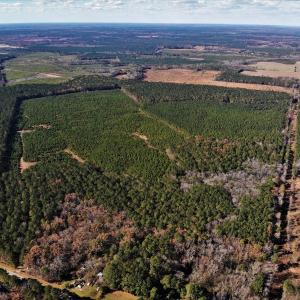 Photo #15 of SOLD property in off Oak Hill Rd and Rt. 40, Waverly, VA 234.0 acres