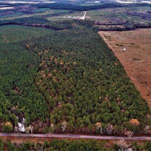 Photo #21 of SOLD property in off Oak Hill Rd and Rt. 40, Waverly, VA 234.0 acres