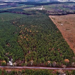 Photo #21 of SOLD property in off Oak Hill Rd and Rt. 40, Waverly, VA 234.0 acres