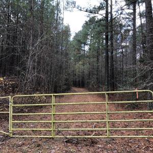 Photo #44 of SOLD property in off Oak Hill Rd and Rt. 40, Waverly, VA 234.0 acres