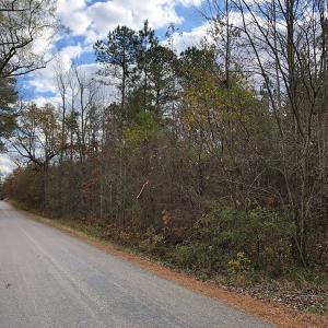 Photo #46 of SOLD property in off Oak Hill Rd and Rt. 40, Waverly, VA 234.0 acres