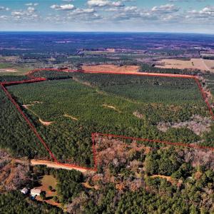 Photo #4 of SOLD property in off Oak Hill Rd and Rt. 40, Waverly, VA 234.0 acres