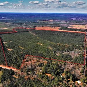 Photo #5 of SOLD property in off Oak Hill Rd and Rt. 40, Waverly, VA 234.0 acres