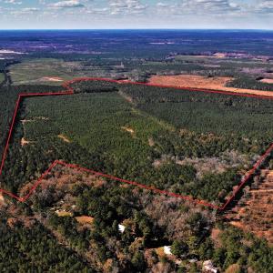 Photo #6 of SOLD property in off Oak Hill Rd and Rt. 40, Waverly, VA 234.0 acres